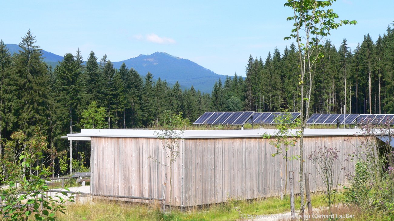 Tierpark Bayerischer Wald Haus zur Wildnis Tierfreigehege