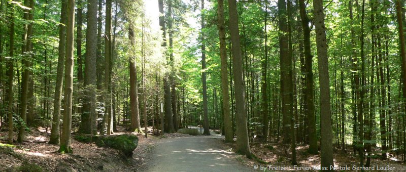 Tierpark Bayerischer Wald Haus Zur Wildnis Tierfreigehege Ludwigsthal