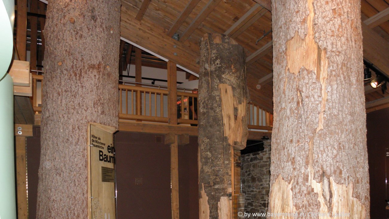 Nationalparkzentrum Lusen HansEisenmannHaus Neuschönau