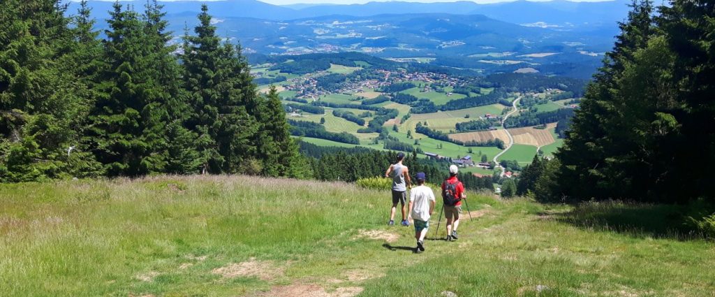 Bayerischer Wald Wanderurlaub In Niederbayern & Oberpfalz Wandern